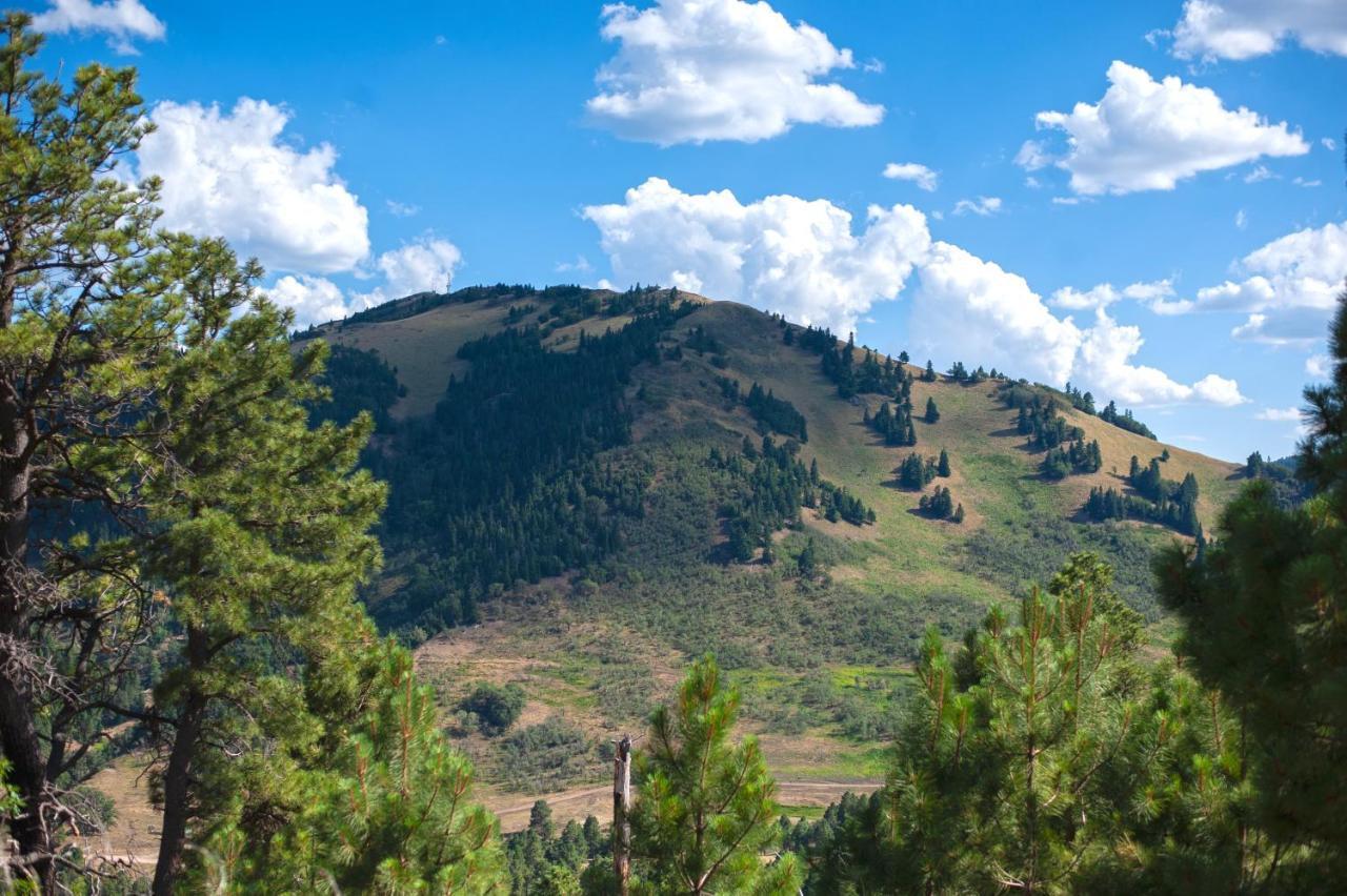 Huge Ruidoso Retreat With Game Room, Pool, 2 Balconies, 2 Kitchens - Sleeps 17! Eksteriør billede